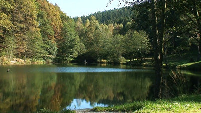 Wälder in Europa