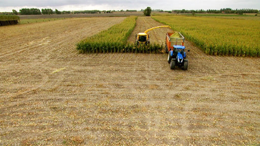 Agrobiodiversität