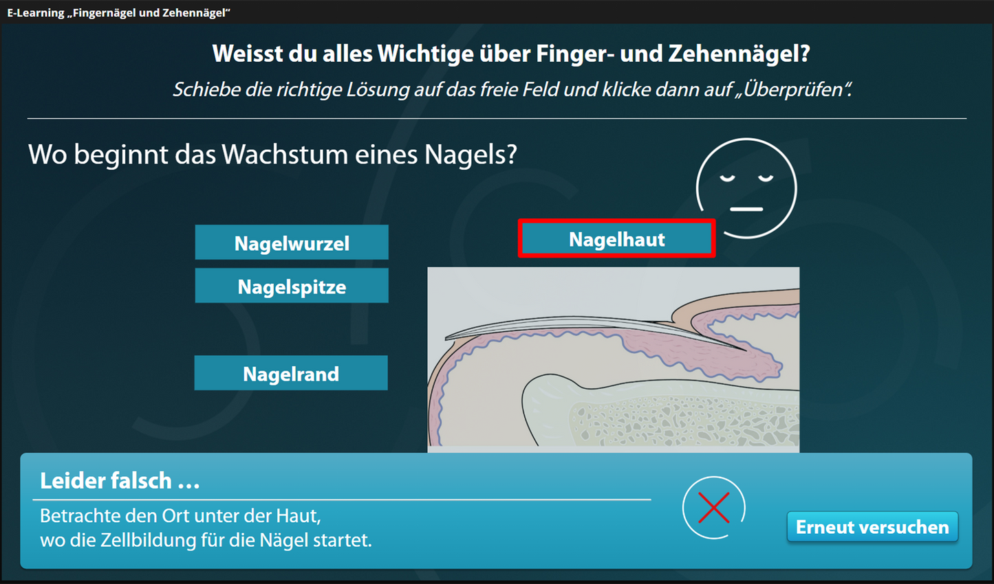 Fingernagel und Zehennagel mit E-Learning