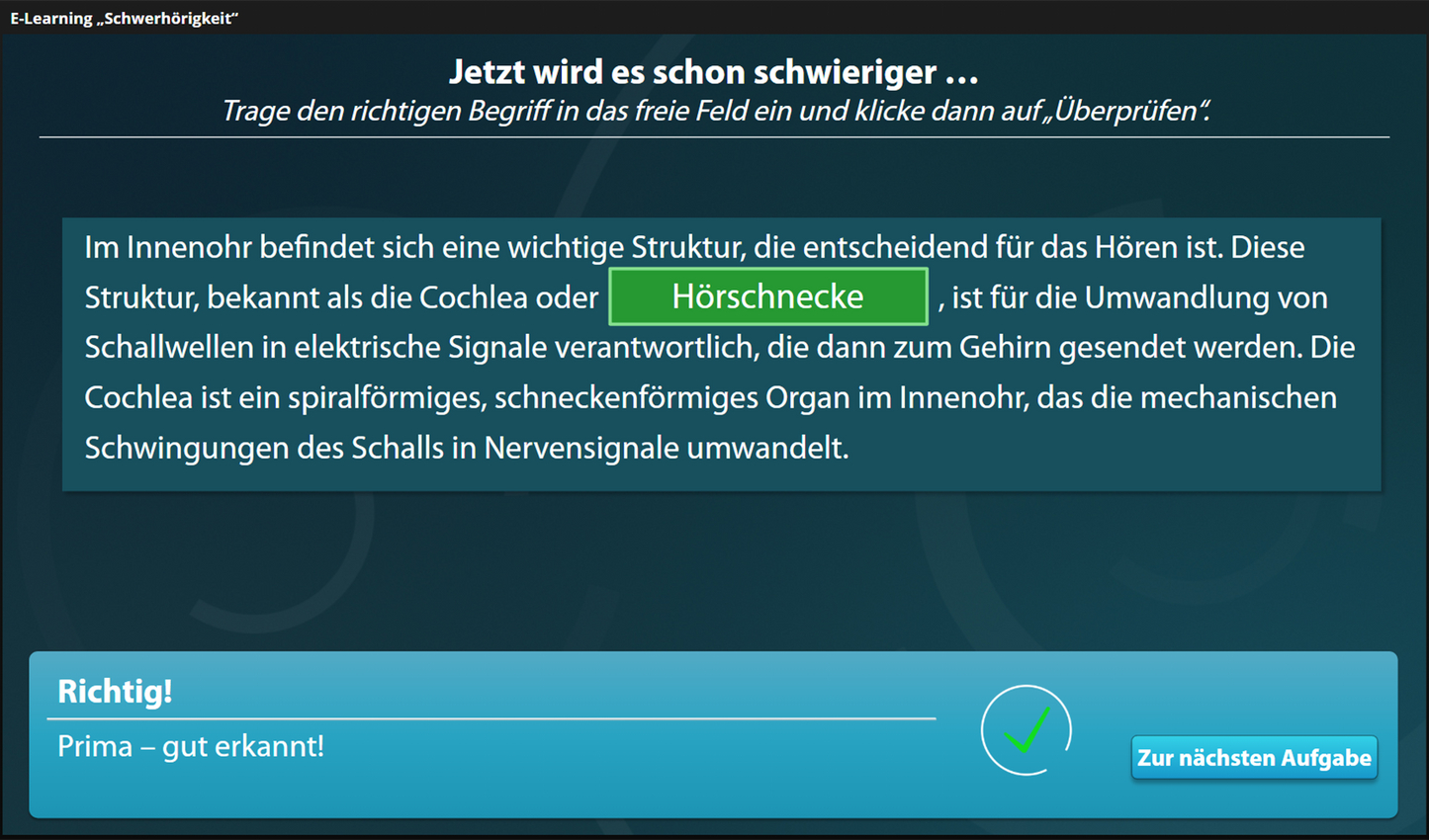 Schwerhörigkeit mit E-Learning