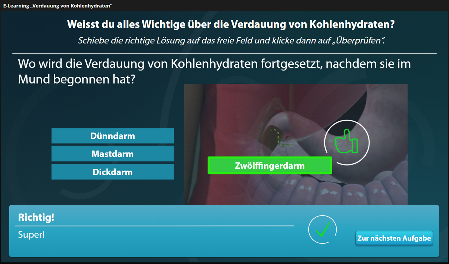 Verdauung von Kohlenhydraten mit E-Learning