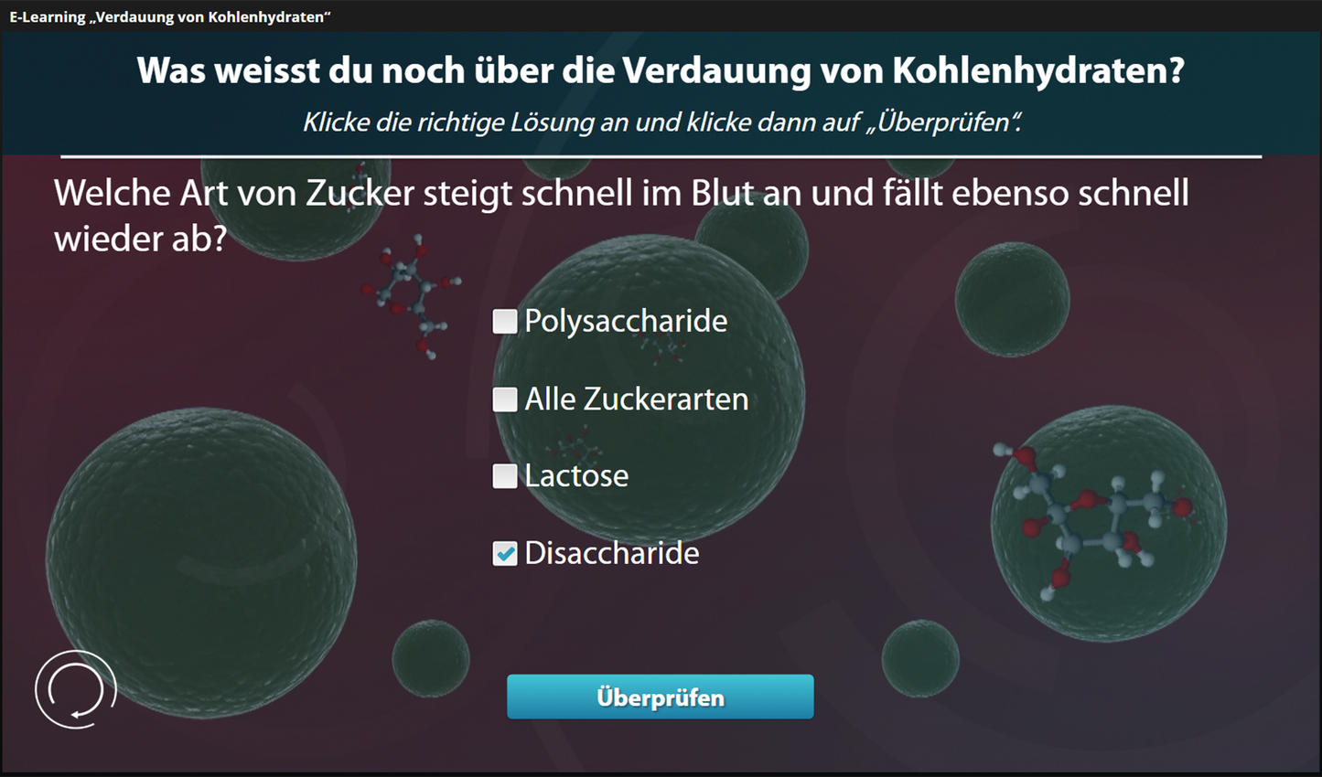 Verdauung von Kohlenhydraten mit E-Learning