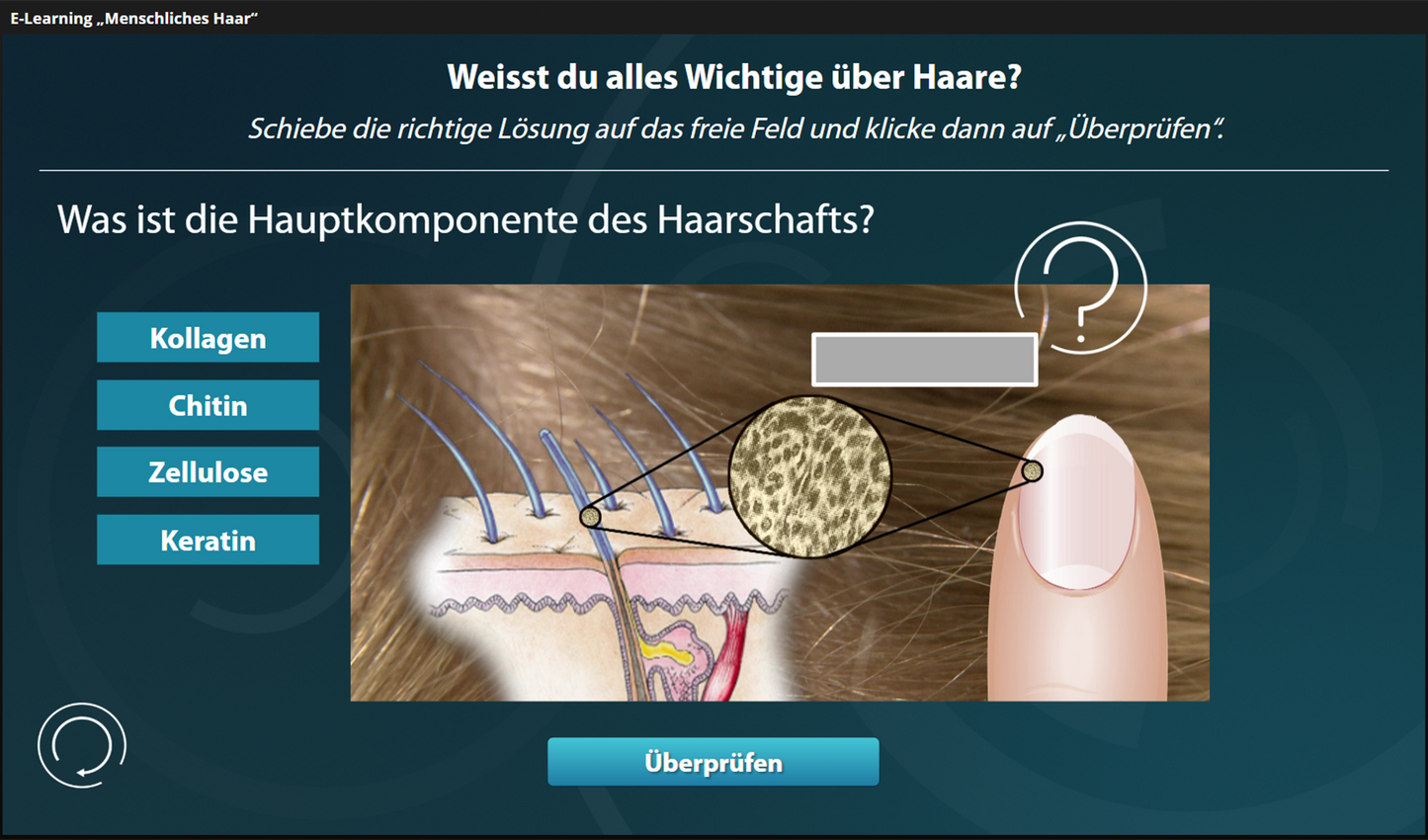 Menschliches Haar mit E-Learning