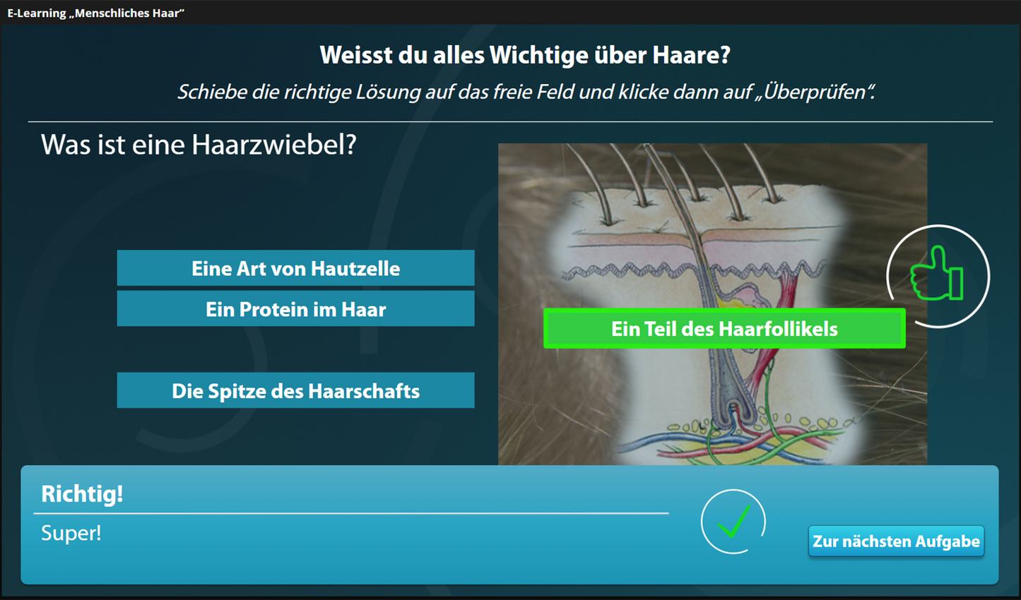 Menschliches Haar mit E-Learning
