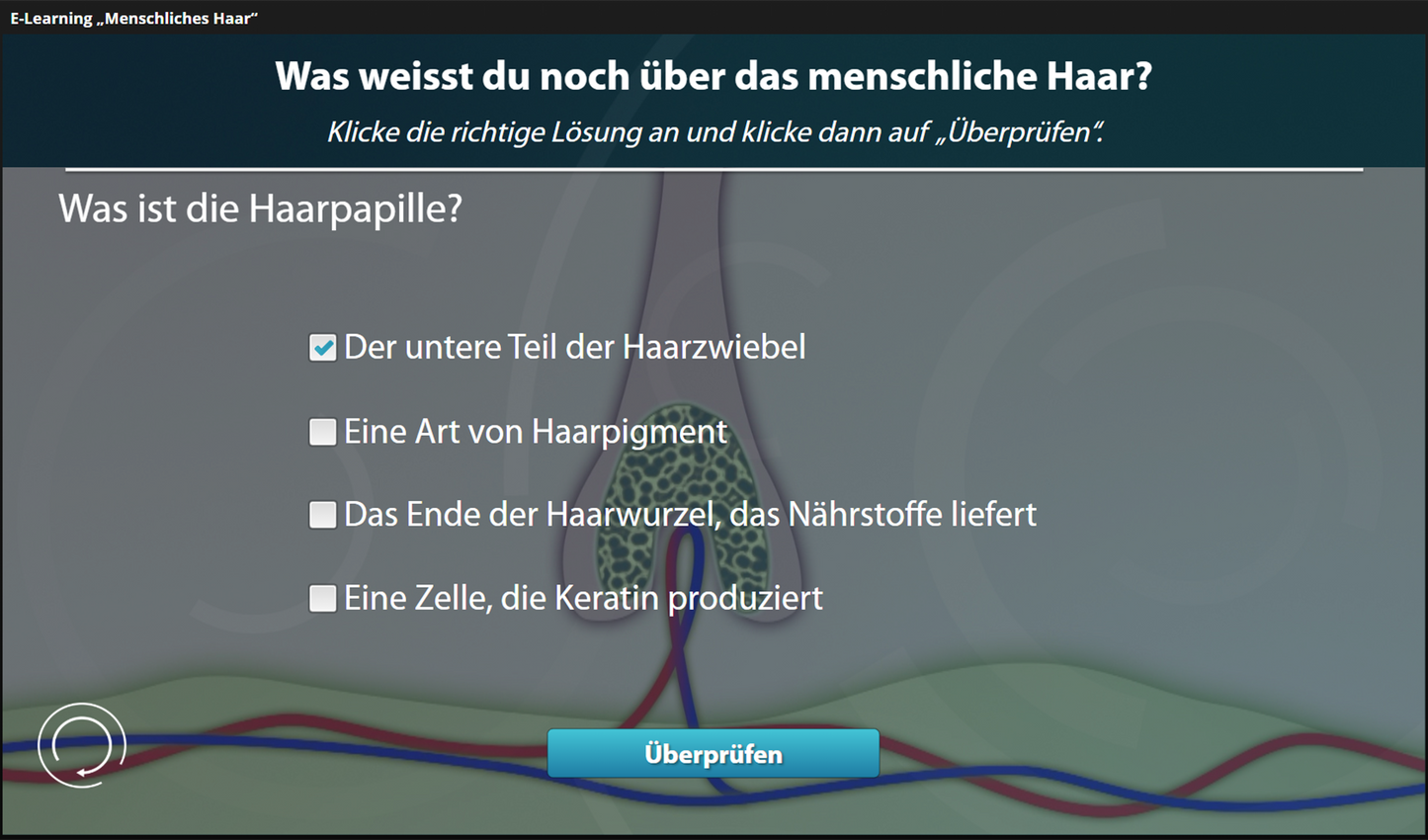 Menschliches Haar mit E-Learning