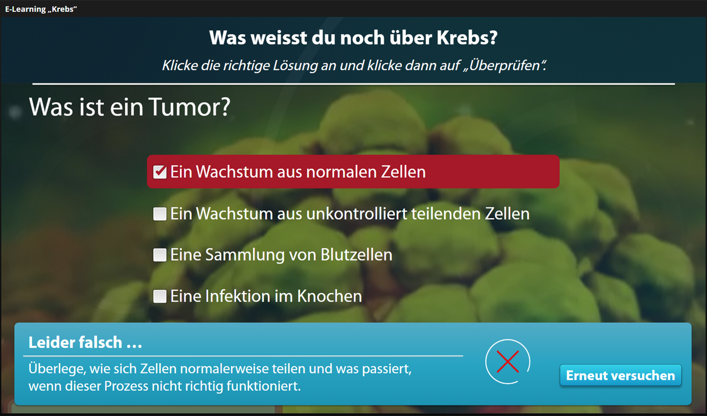 Krebs mit E-Learning