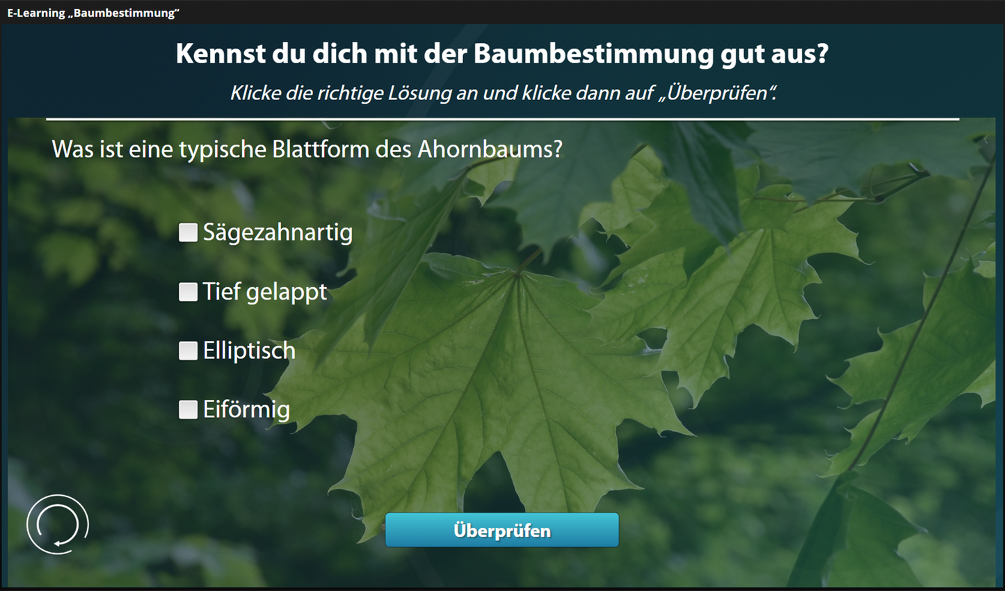 Baumbestimmung mit E-Learning