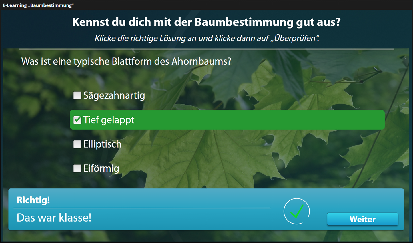 Baumbestimmung mit E-Learning