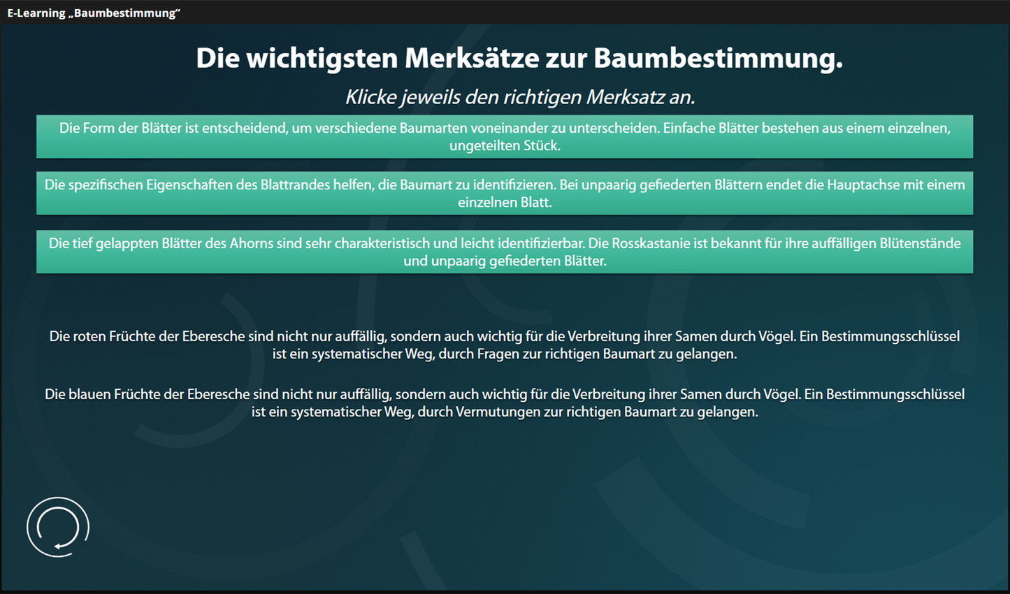 Baumbestimmung mit E-Learning