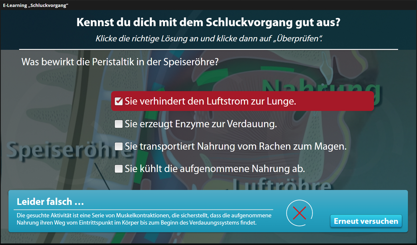 Schluckvorgang mit E-Learning