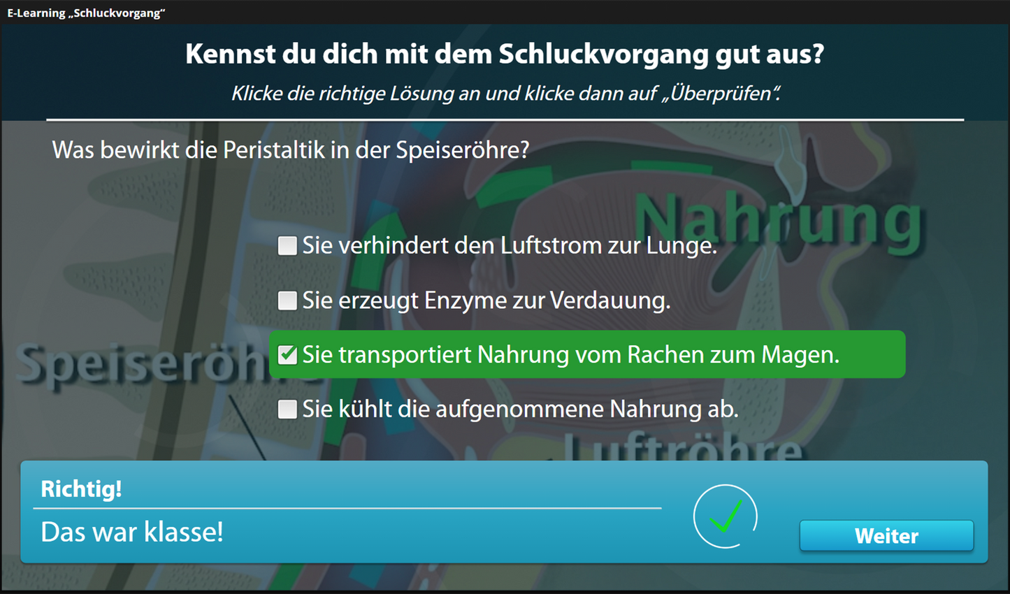 Schluckvorgang mit E-Learning