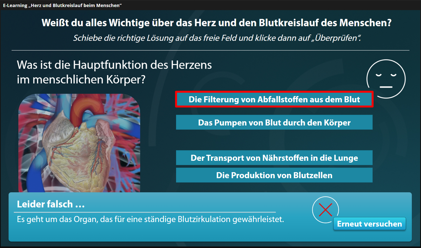 Herz und Blutkreislauf beim Menschen mit E-Learning