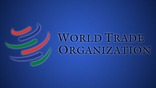 Die Welthandelsorganisation (WTO) - mit E-Learning