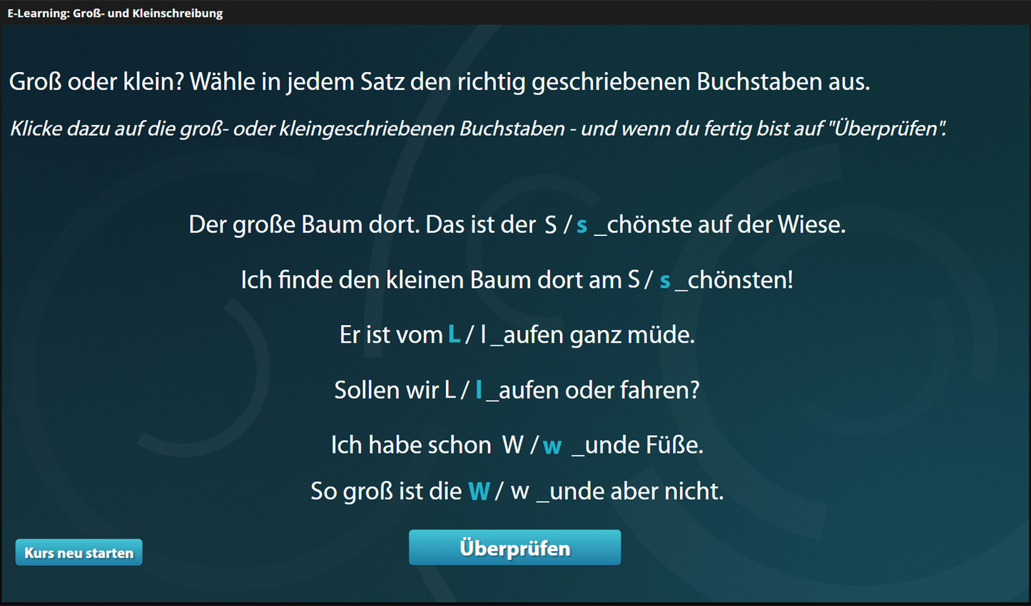 Groß- und Kleinschreibung mit E-Learning