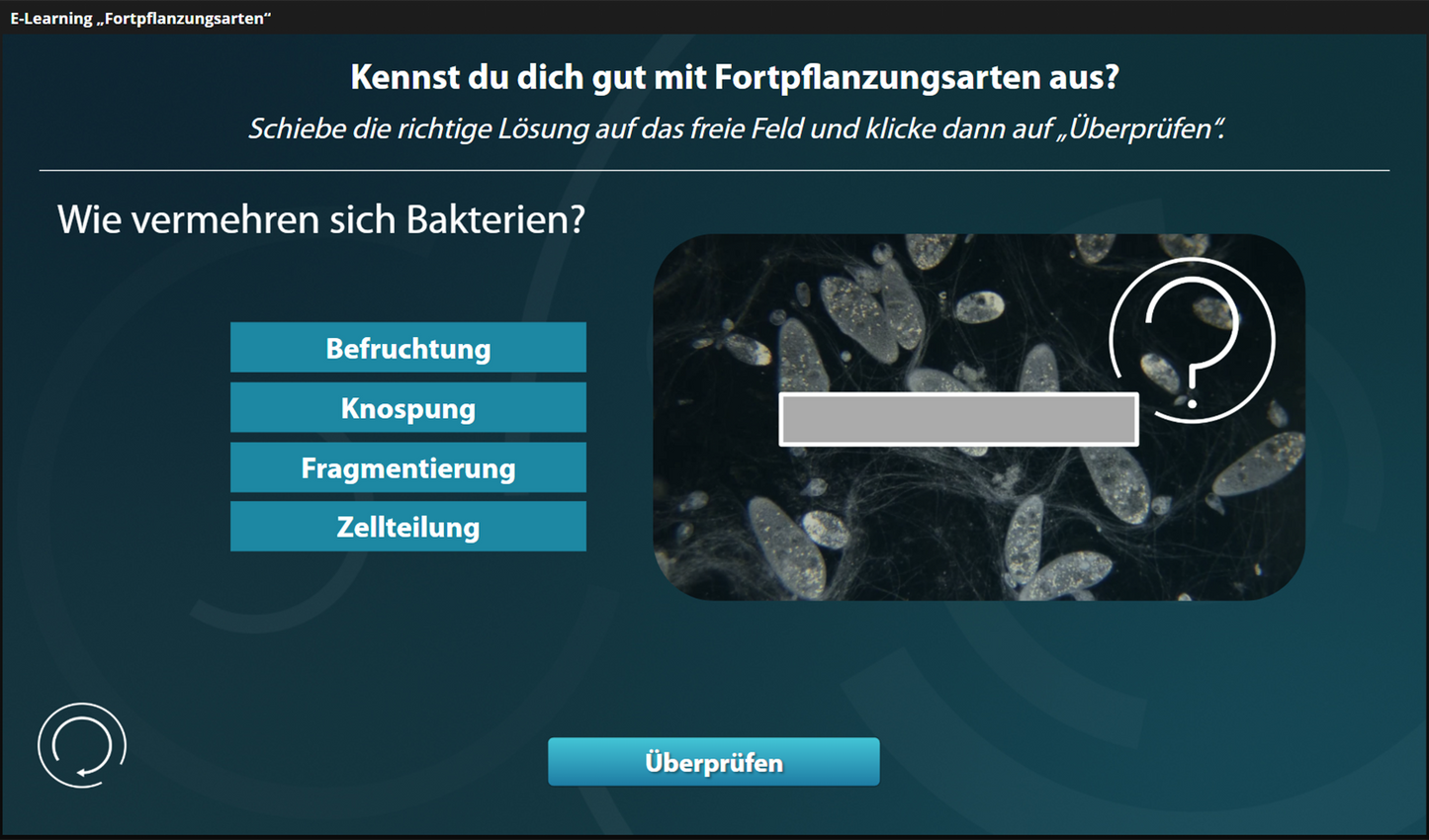 Fortpflanzungsarten mit E-Learning