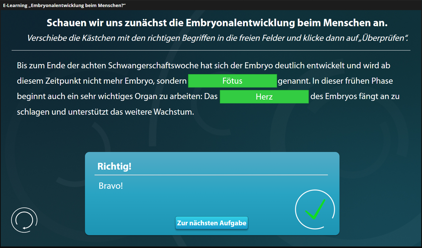 Embryonalentwicklung beim Menschen mit E-Learning