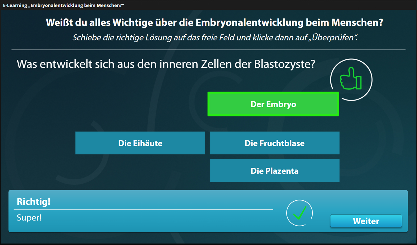 Embryonalentwicklung beim Menschen mit E-Learning