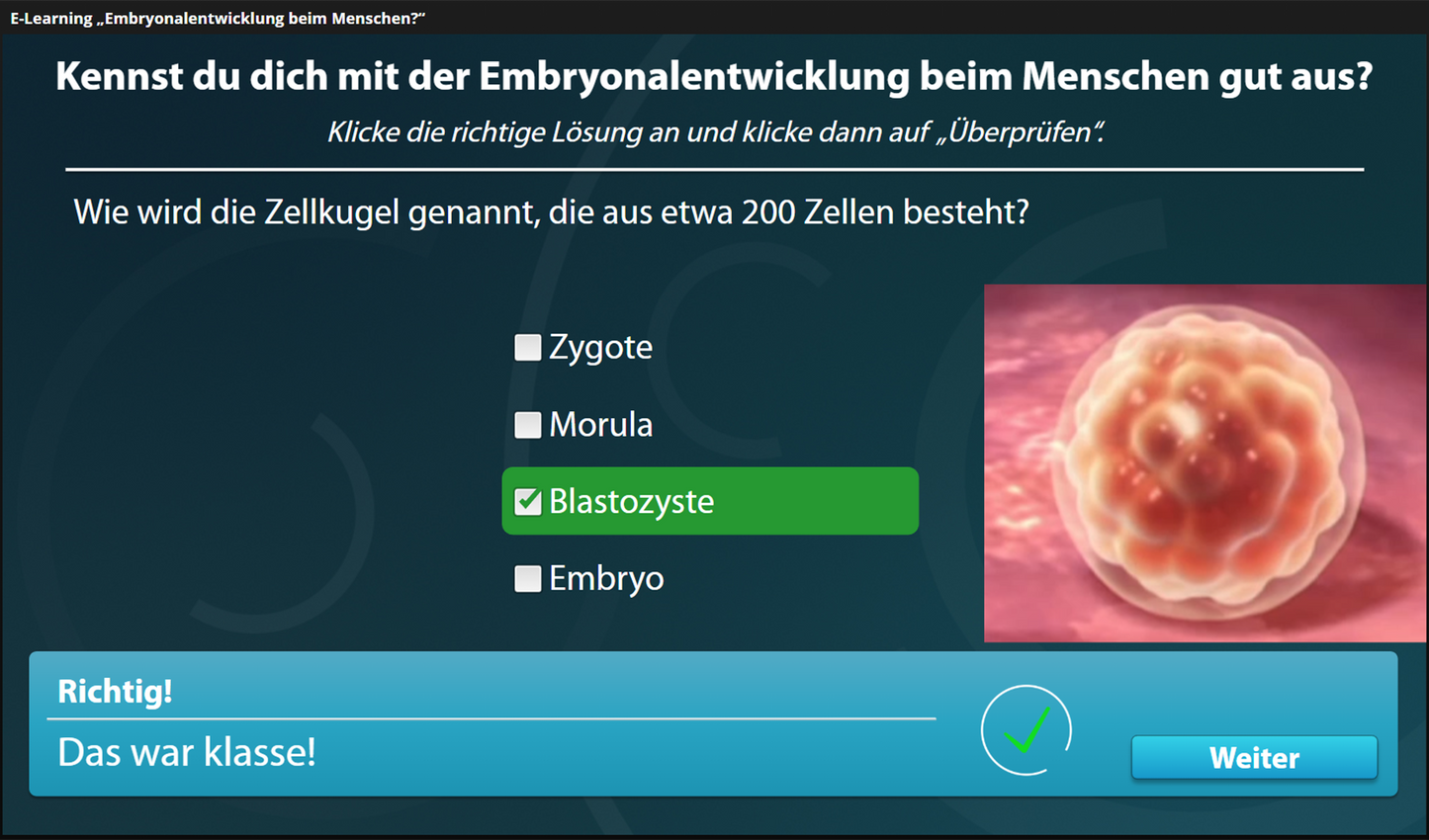 Embryonalentwicklung beim Menschen mit E-Learning