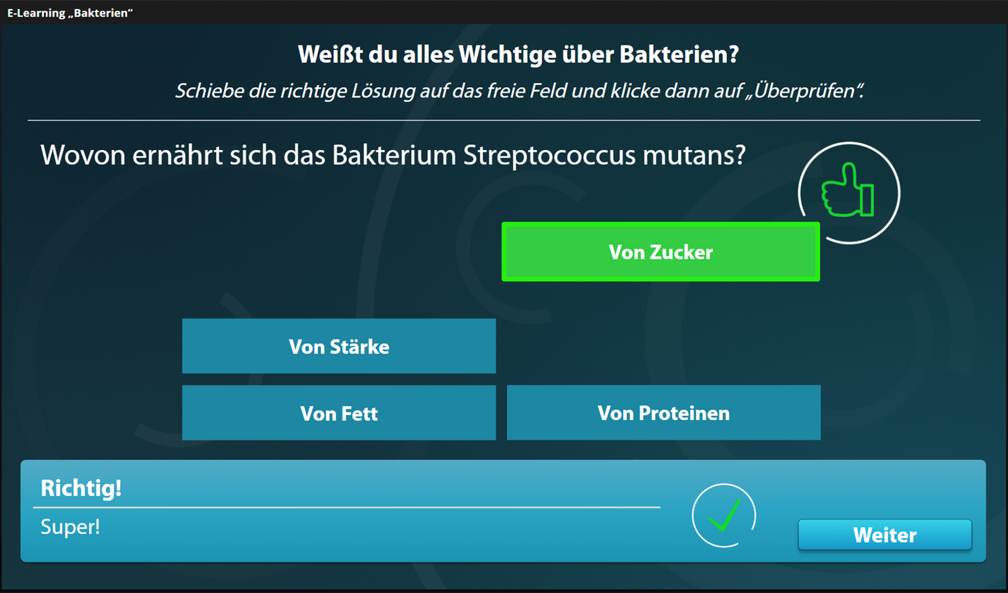 Bakterien mit E-Learning