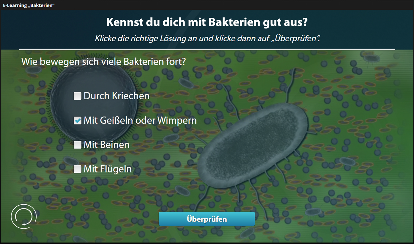Bakterien mit E-Learning