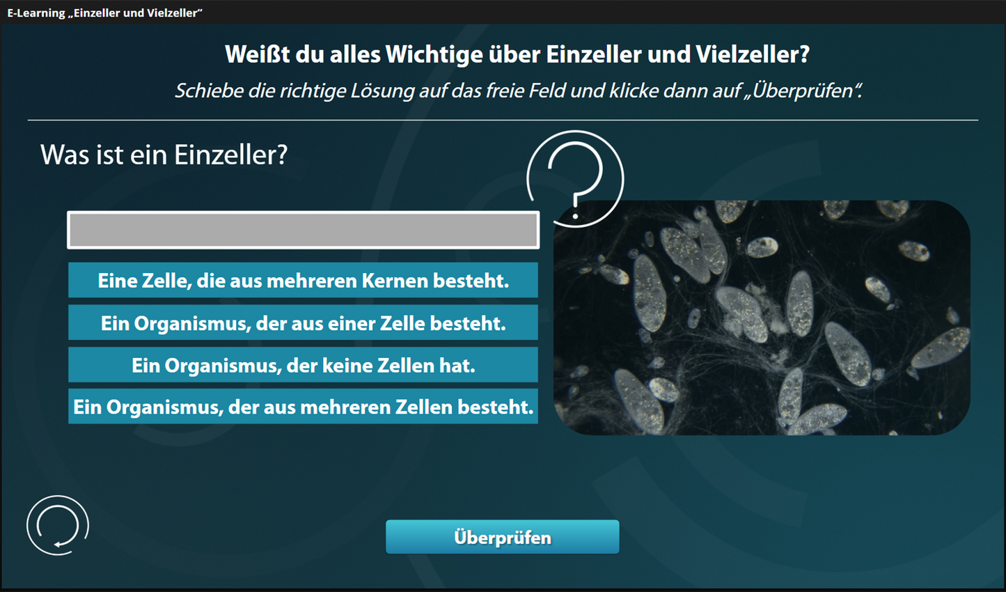 Einzeller und Vielzeller mit E-Learning