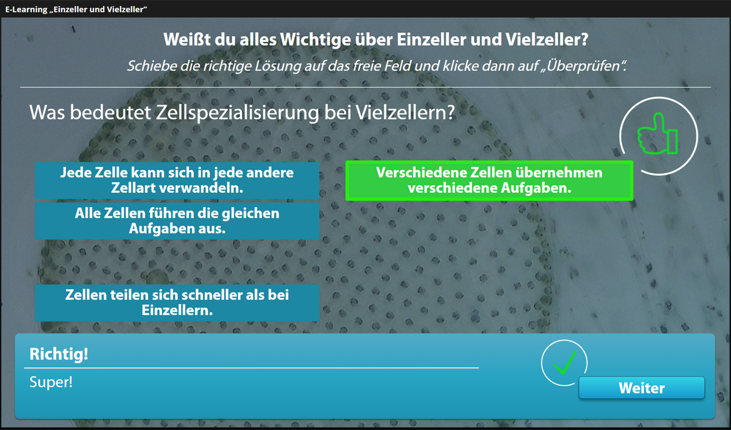 Einzeller und Vielzeller mit E-Learning
