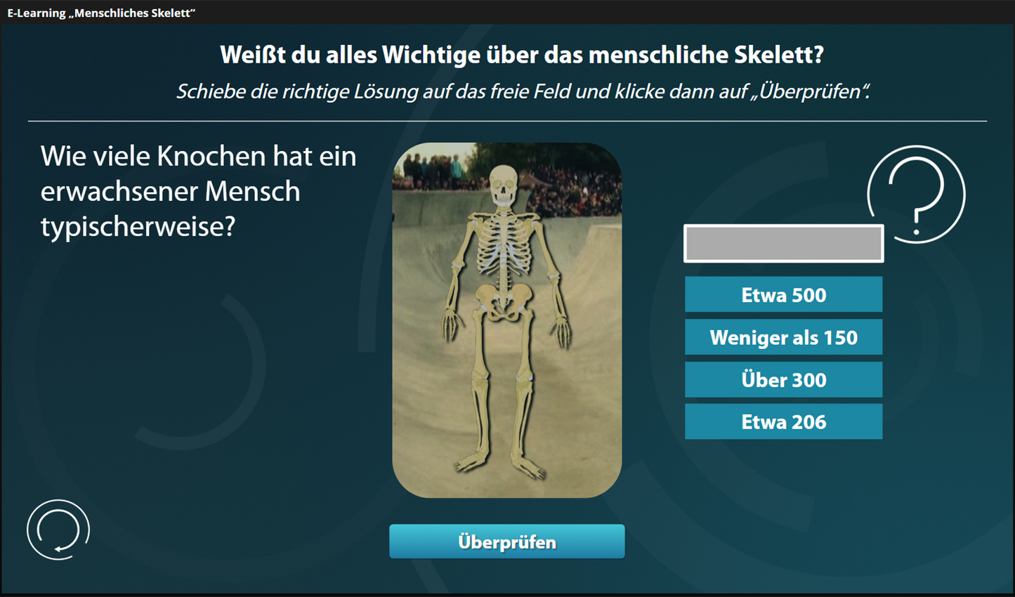 Menschliches Skelett mit E-Learning