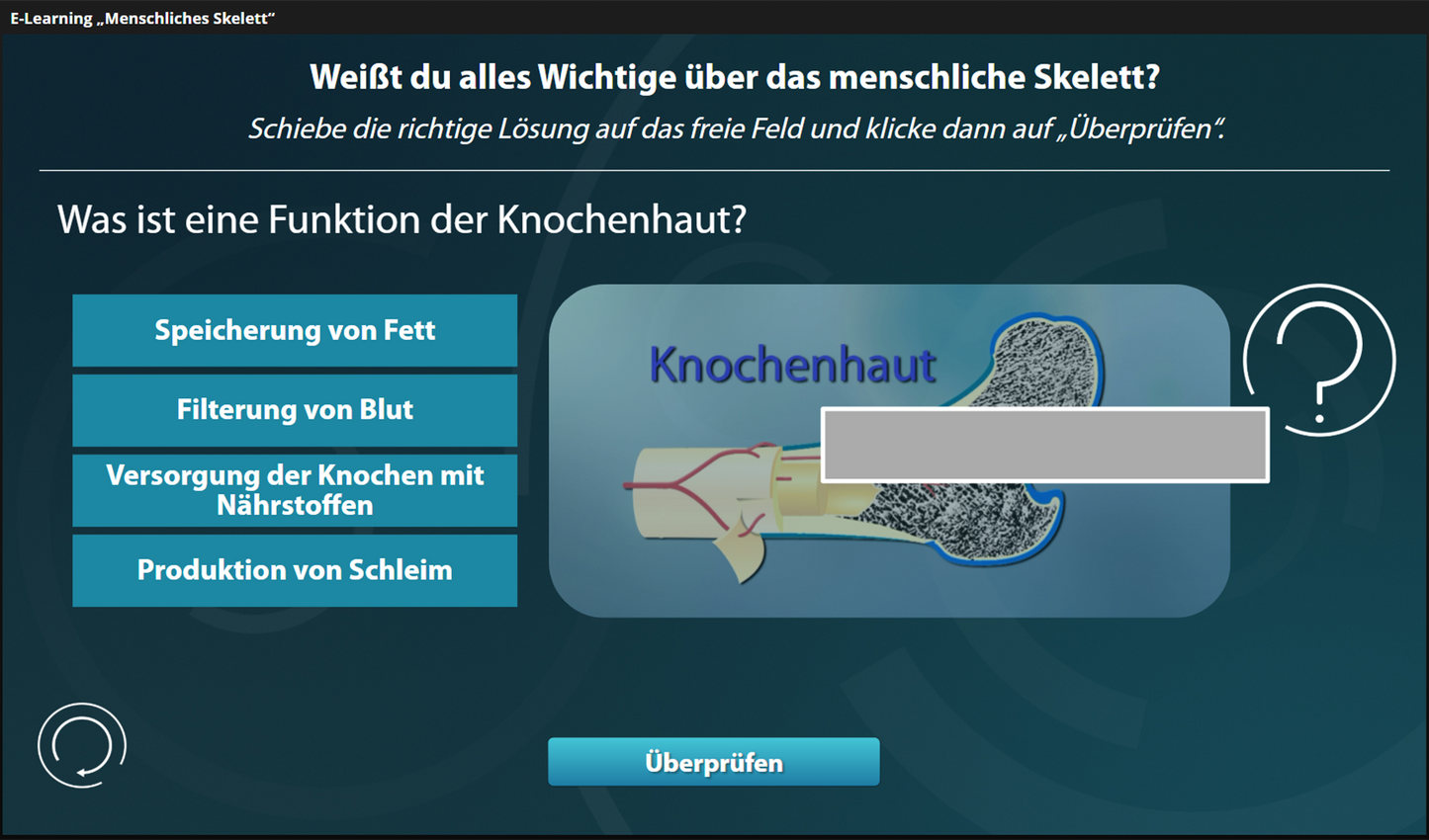 Menschliches Skelett mit E-Learning