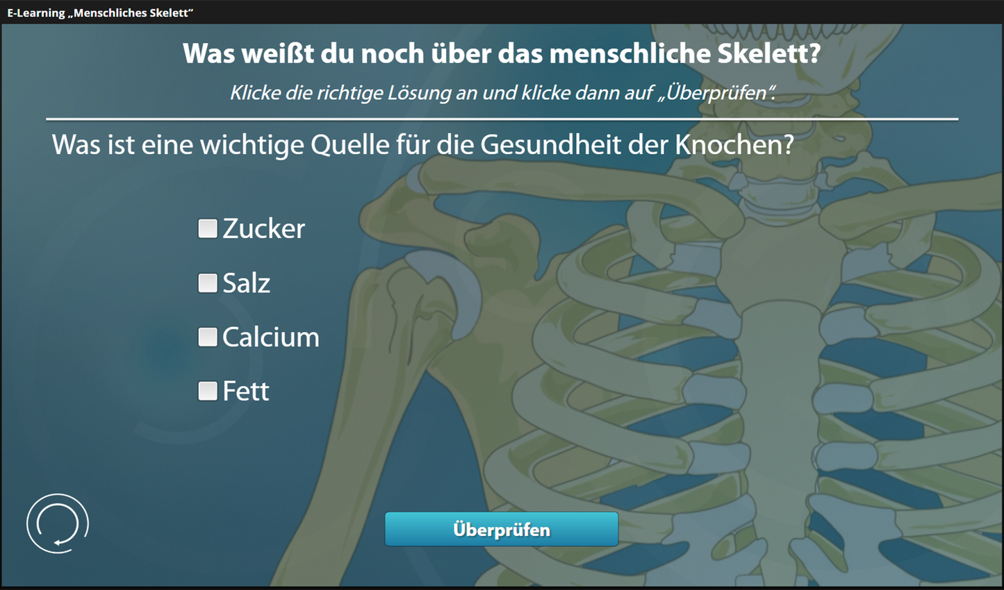 Menschliches Skelett mit E-Learning