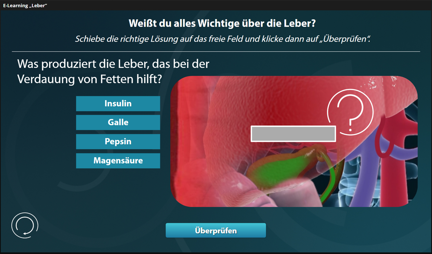 Leber mit E-Learning