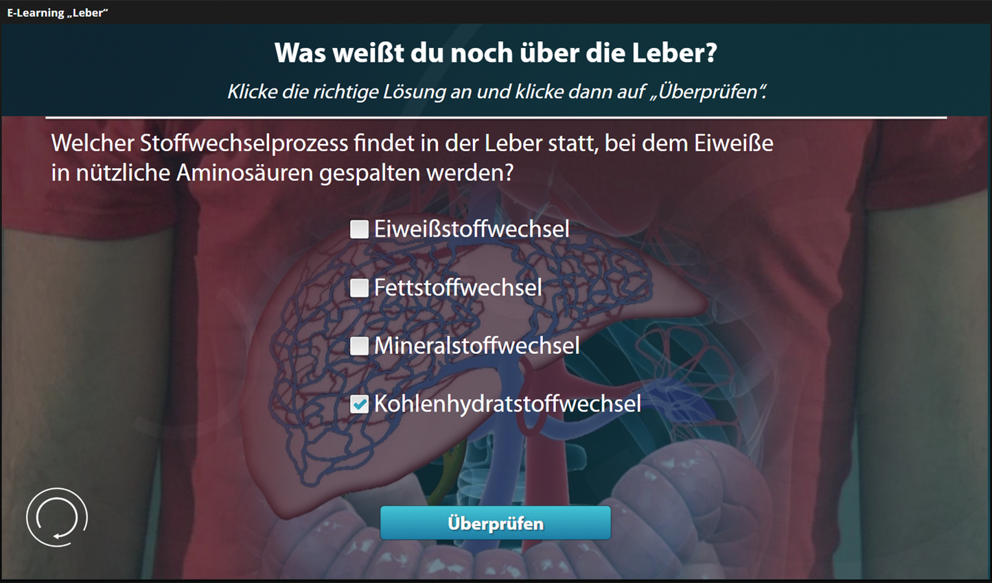 Leber mit E-Learning