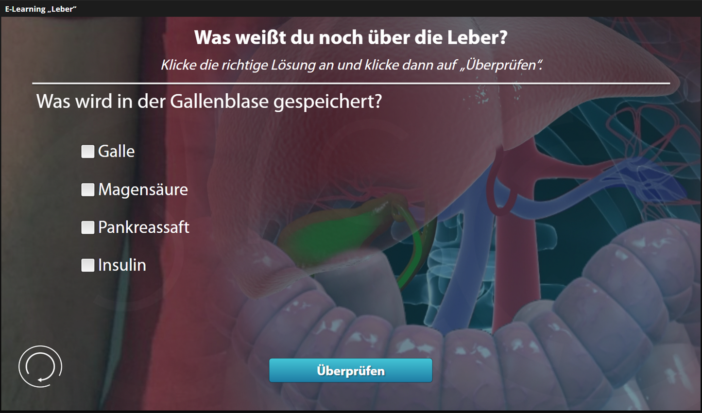 Leber mit E-Learning
