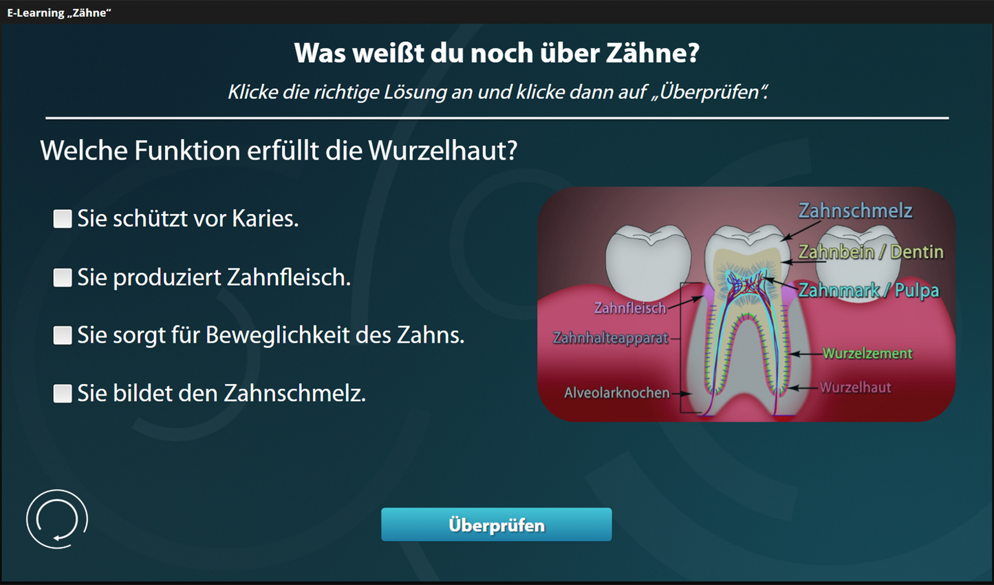 Zähne mit E-Learning