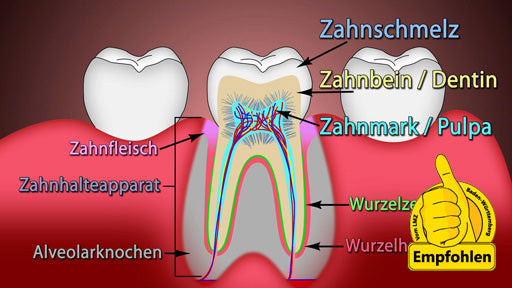 Zähne mit E-Learning