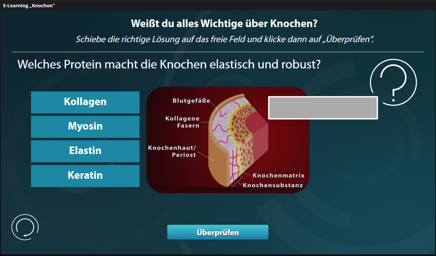 Knochen mit E-Learning