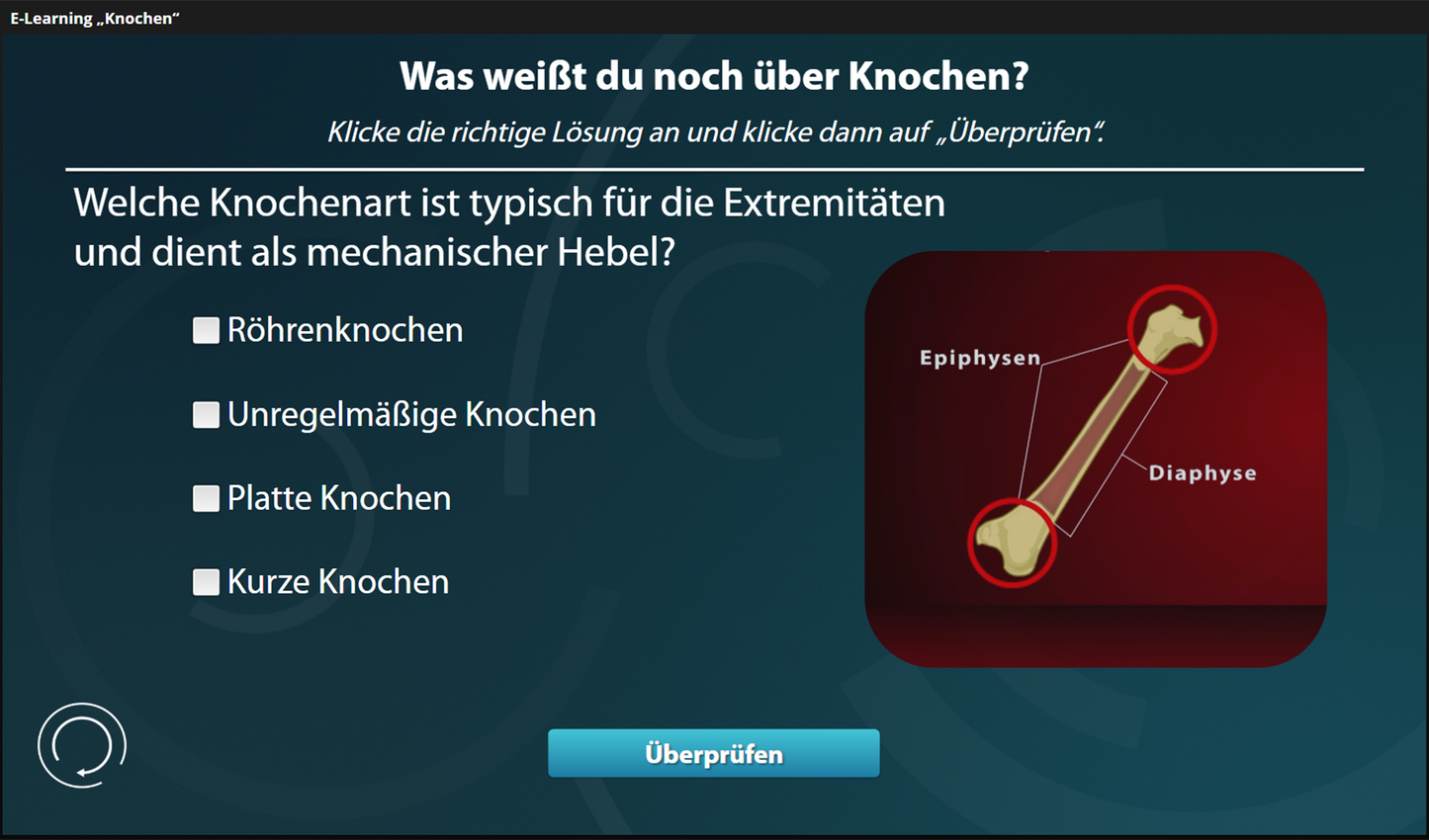 Knochen mit E-Learning