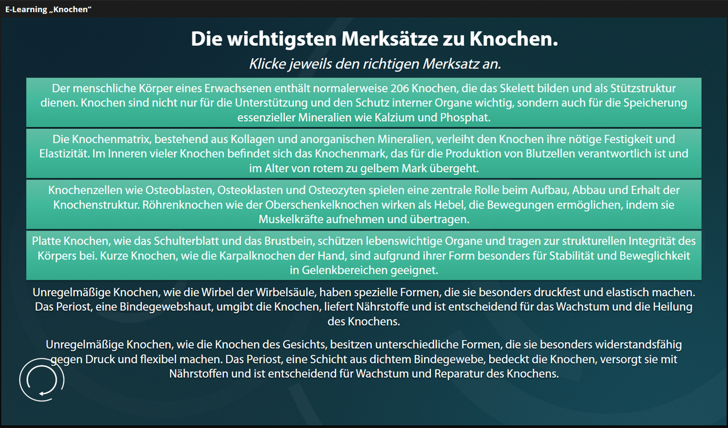 Knochen mit E-Learning