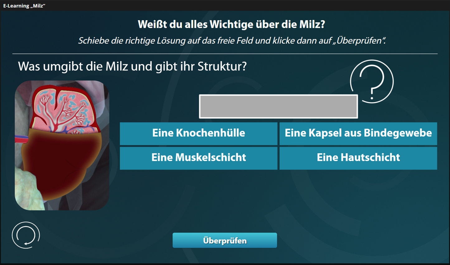 Milz mit E-Learning