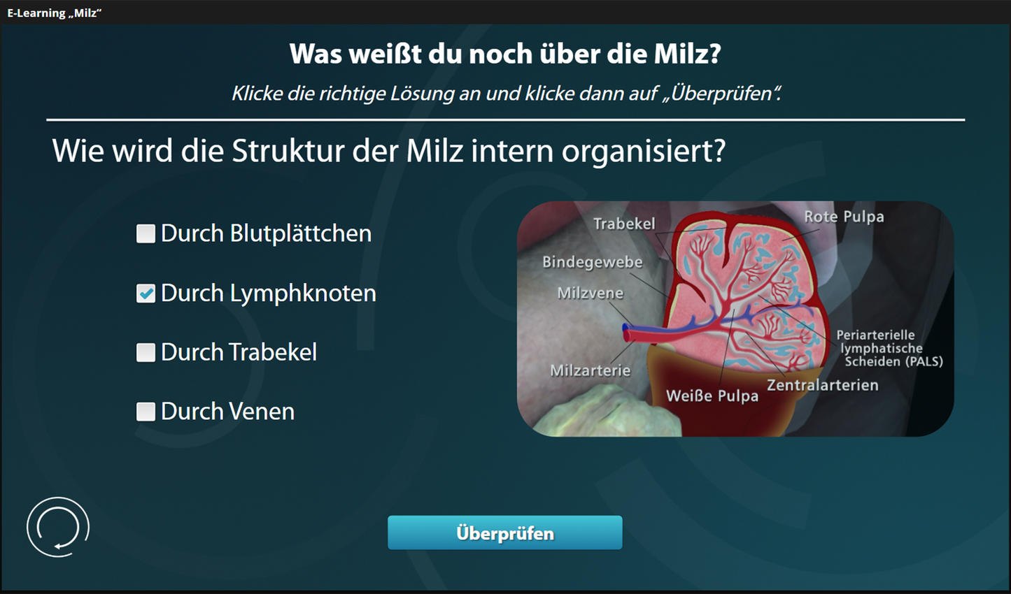 Milz mit E-Learning