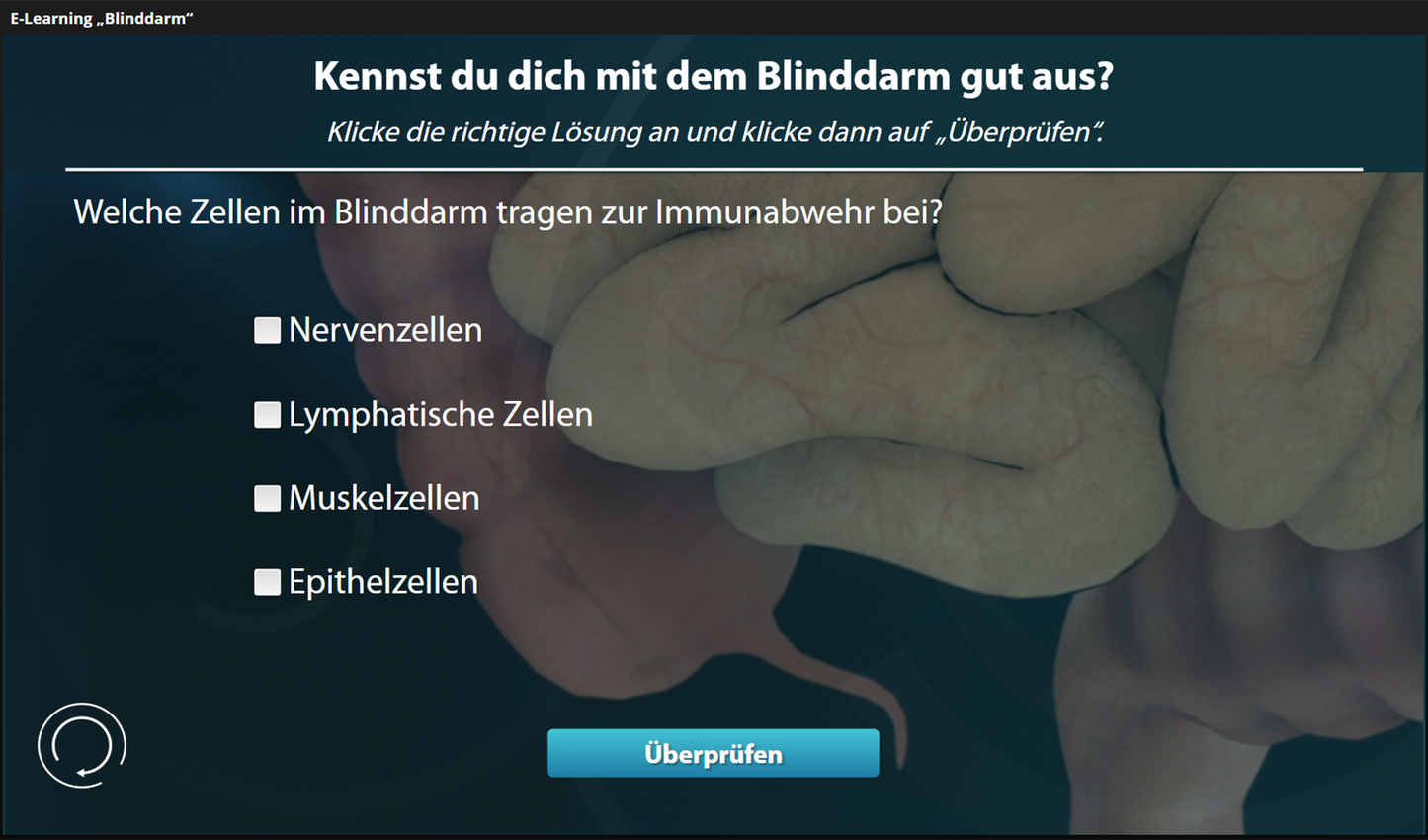 Blinddarm mit E-Learning