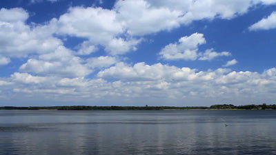 Ökosystem See