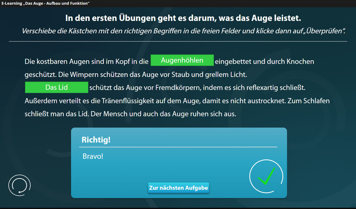 Auge mit E-Learning