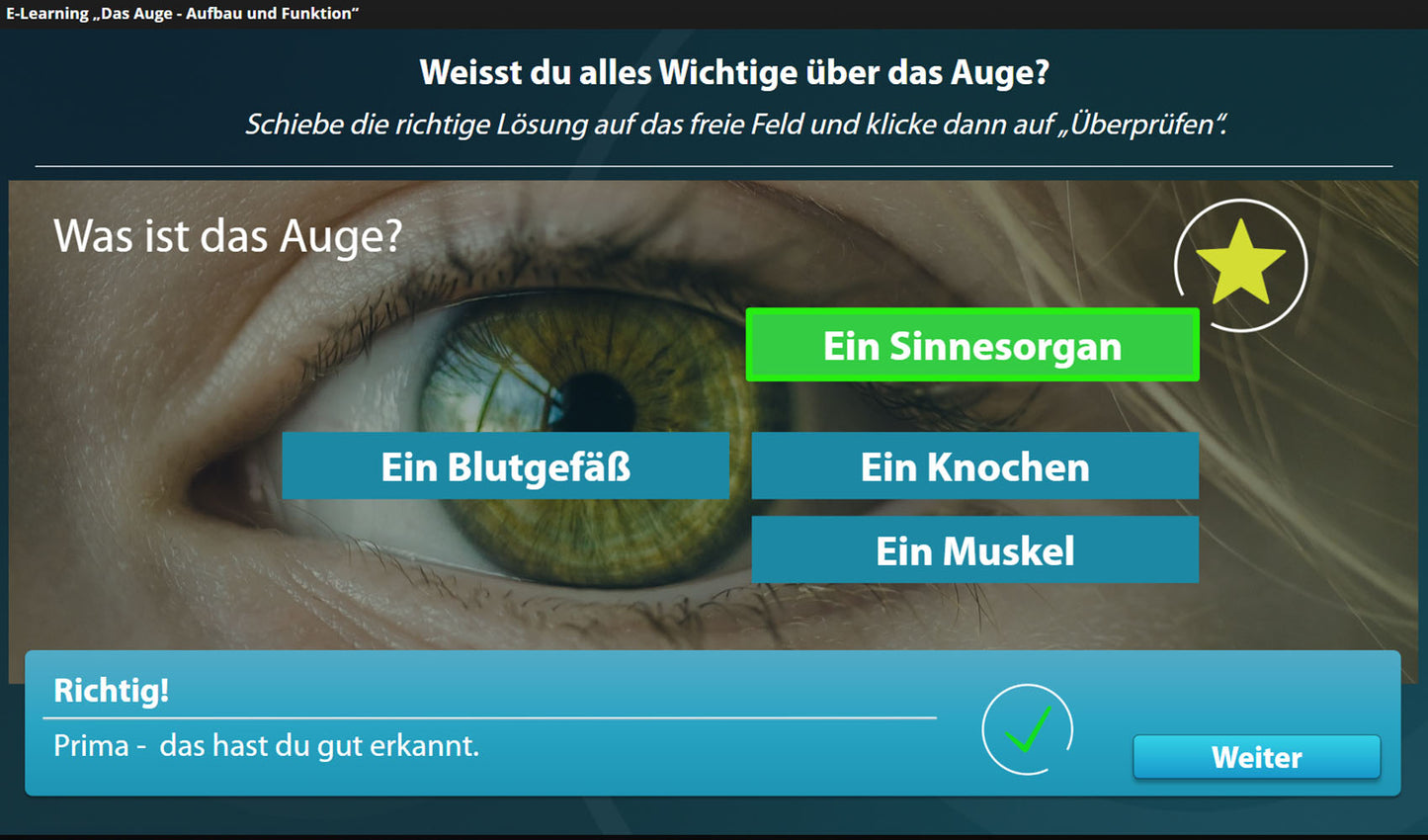 Auge mit E-Learning