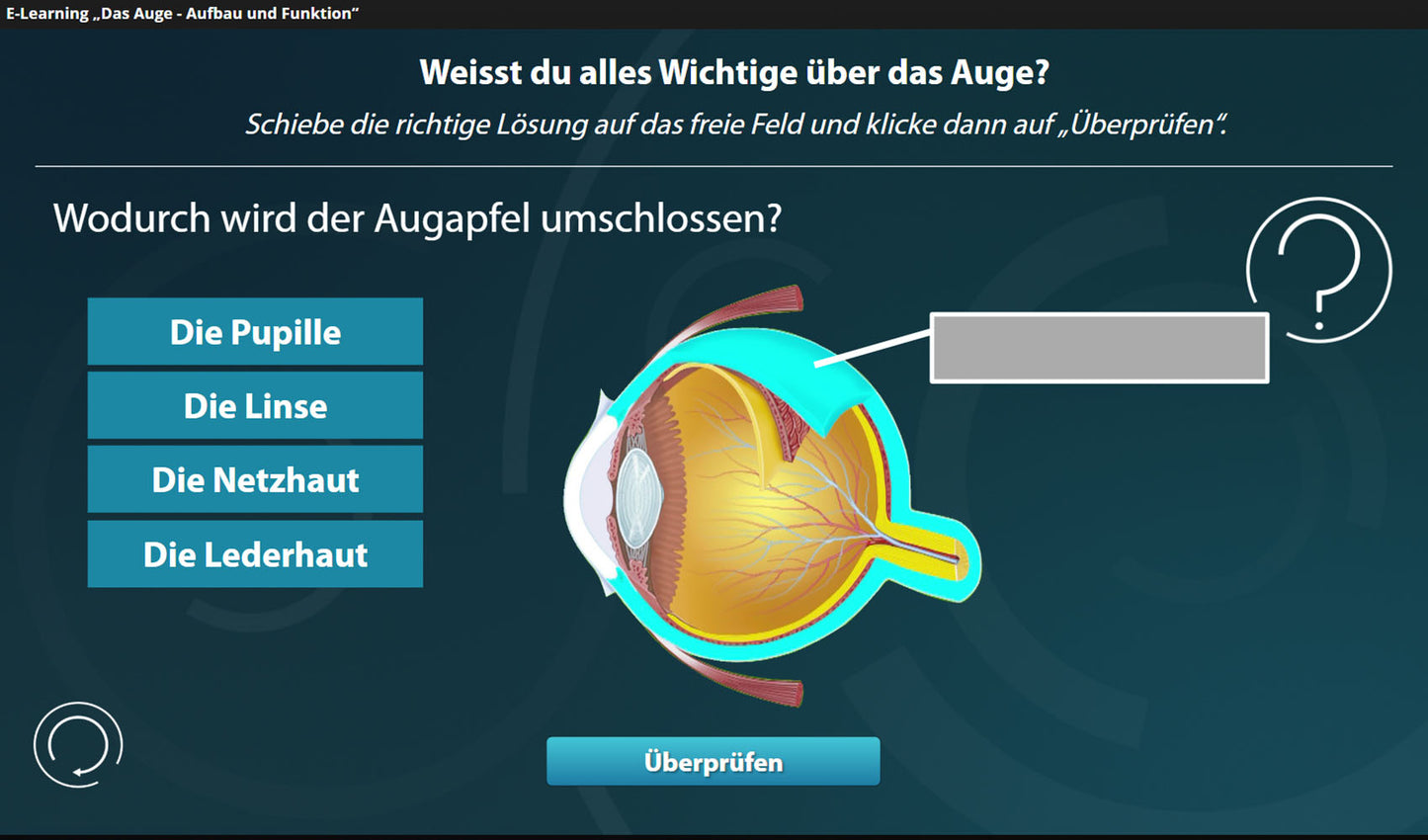 Auge mit E-Learning