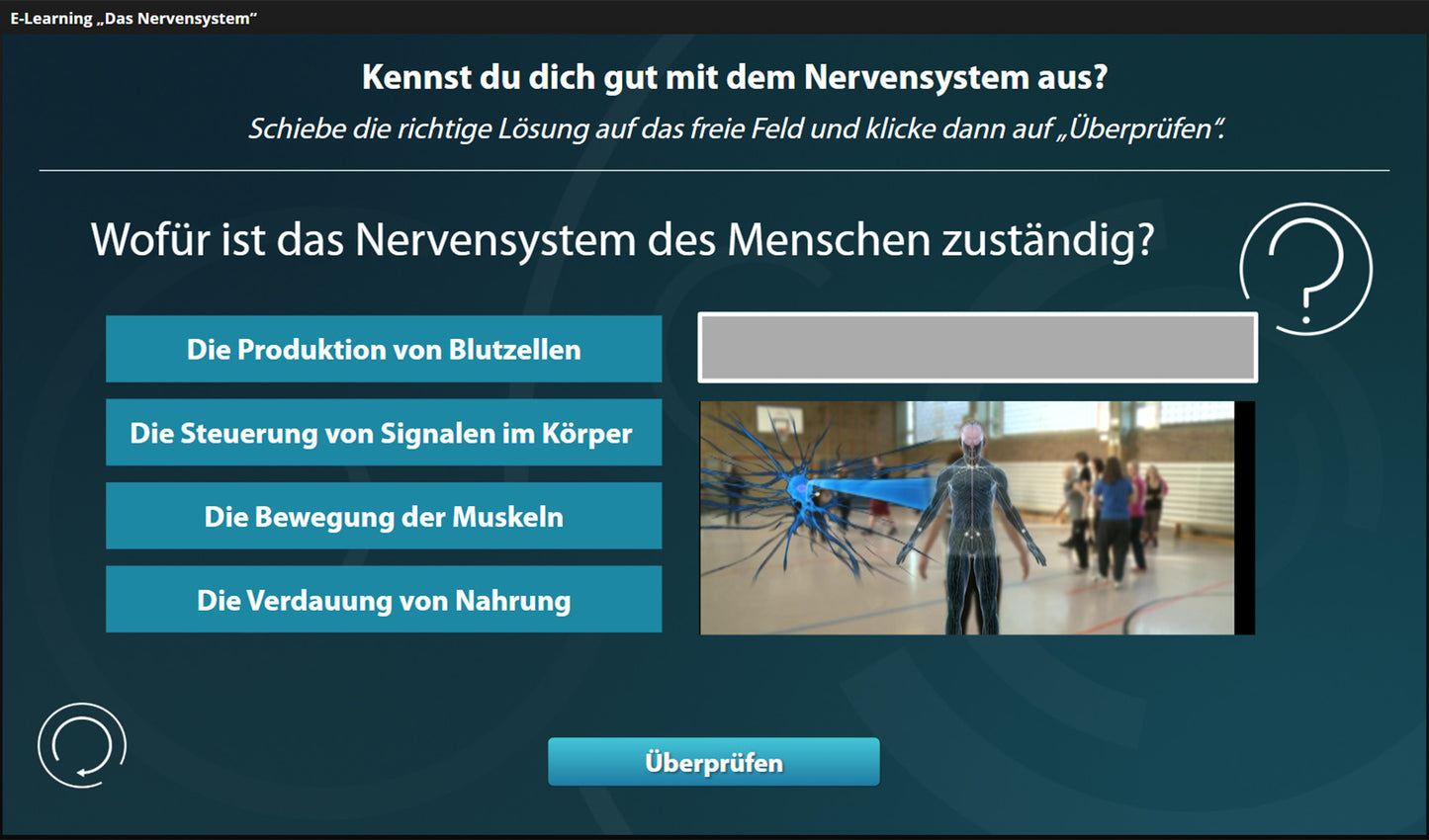 Nervensystem mit E-Learning