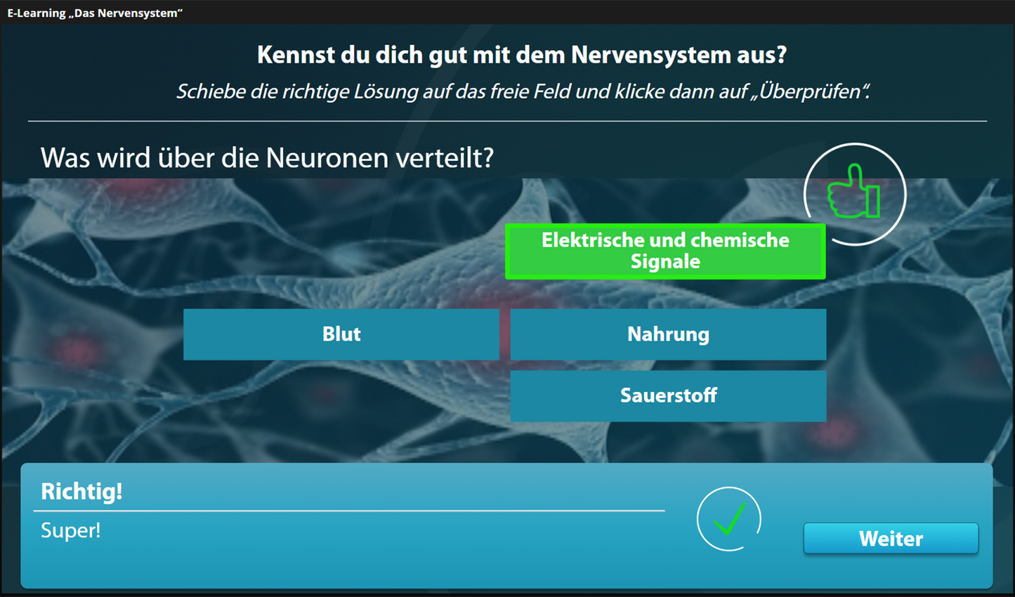 Nervensystem mit E-Learning