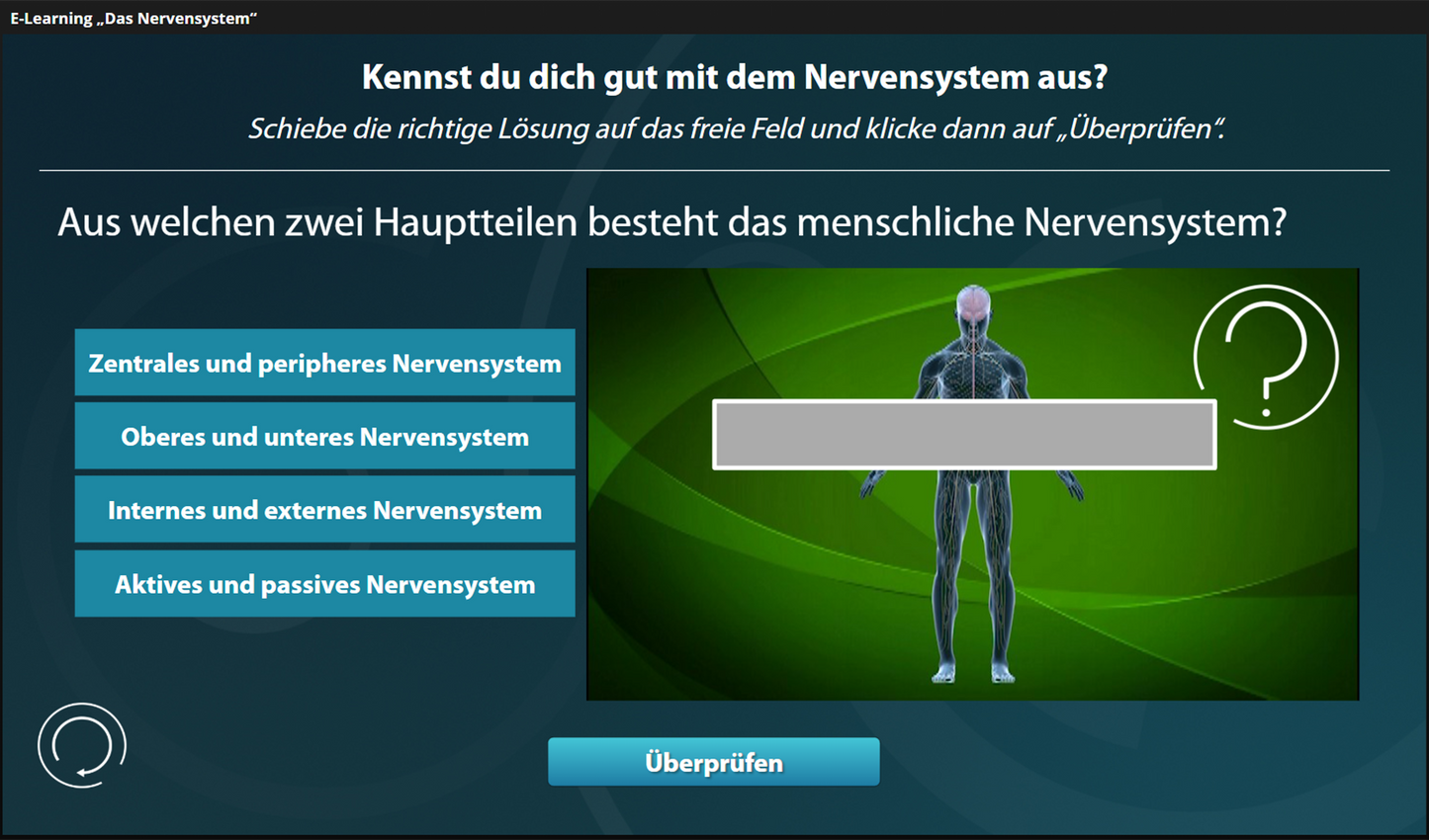 Nervensystem mit E-Learning