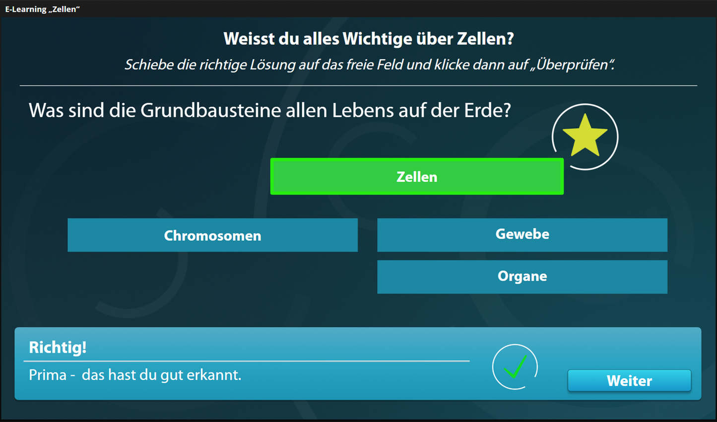 Zellen mit E-Learning