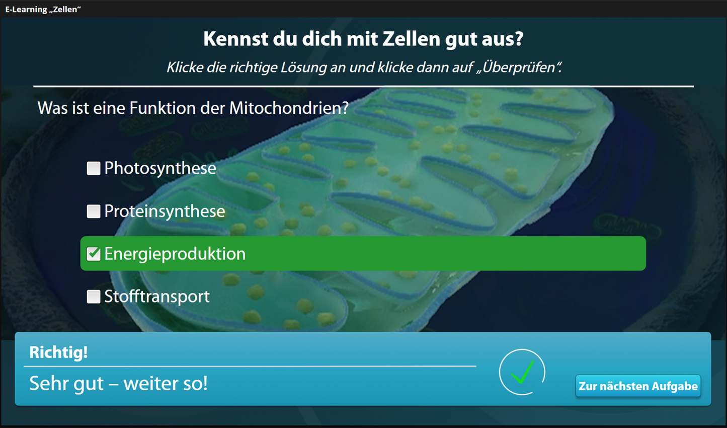 Zellen mit E-Learning