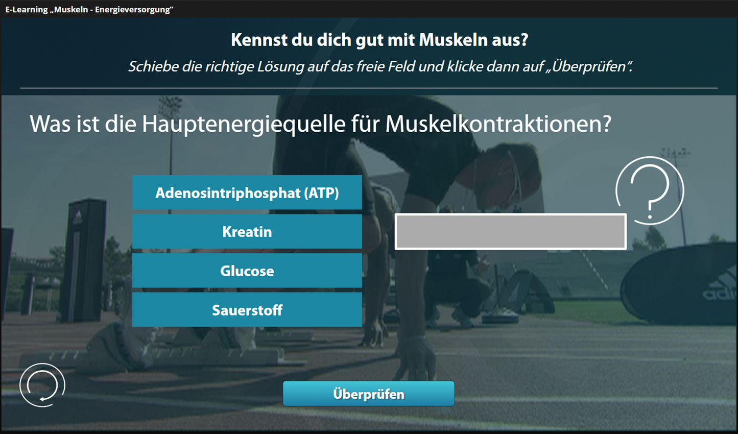 Muskeln mit E-Learning